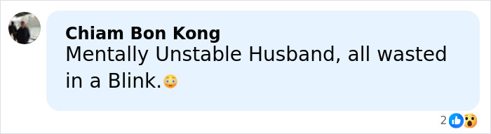 Comment expressing shock about a mentally unstable husband reacting violently after wife buys an expensive dishwasher.
