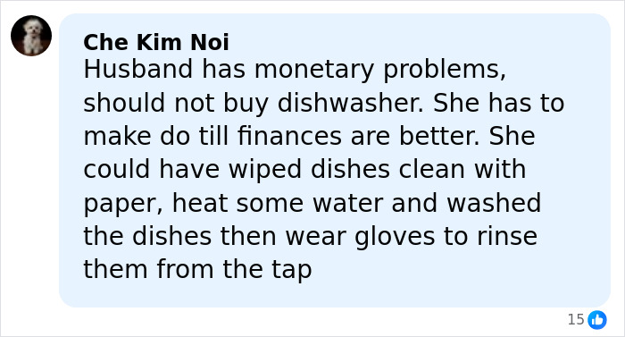 Comment about husband violently reacting after wife buys expensive dishwasher without telling him, reflecting tension in marriage.