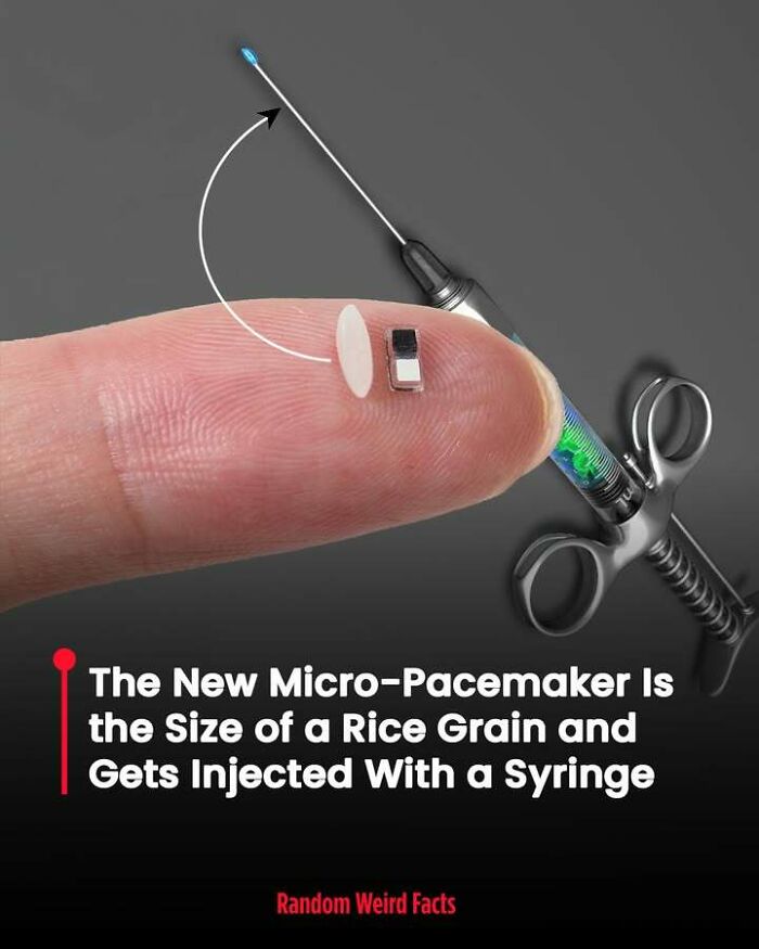 Micro-pacemaker the size of a rice grain shown on fingertip with a syringe, illustrating intriguing facts that linger.
