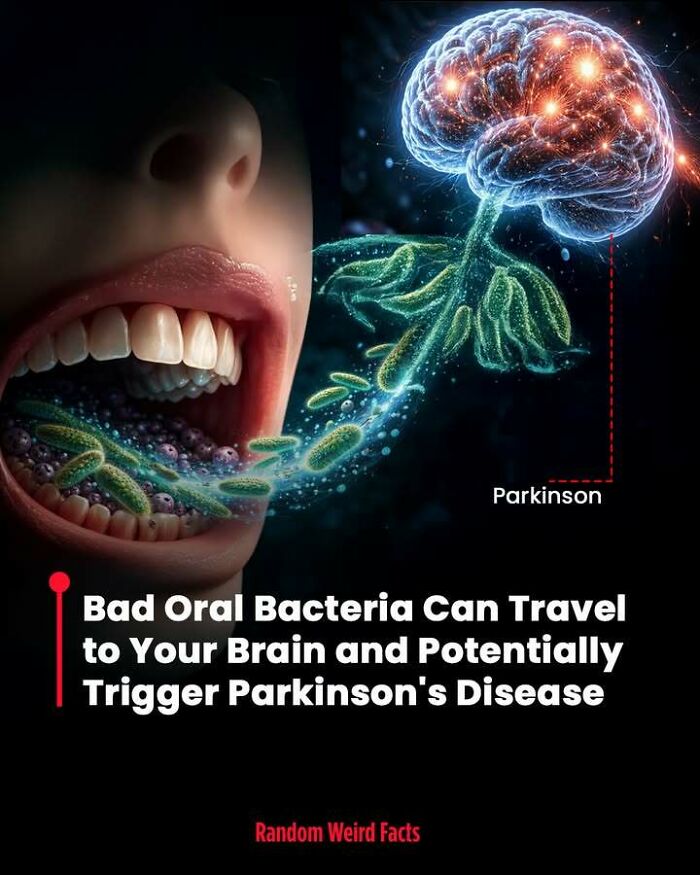 Human mouth showing bad oral bacteria traveling to brain, illustrating facts that linger in your head about health risks.
