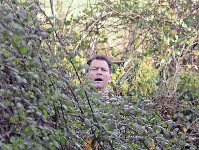 Man looking shocked while partially hidden in dense bushes, capturing a cringe-worthy pop culture moment.