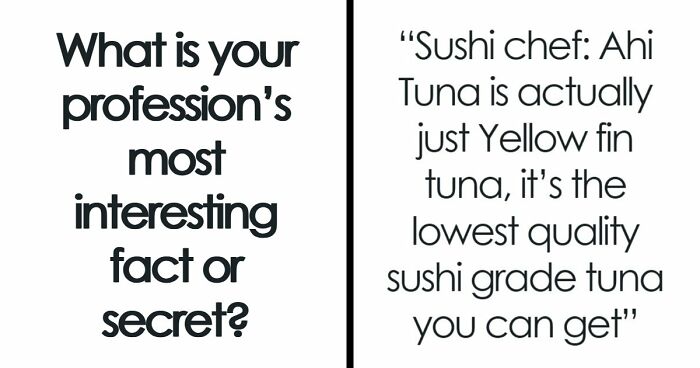 85 Professionals Share What The General Public Doesn’t Know About Their Jobs