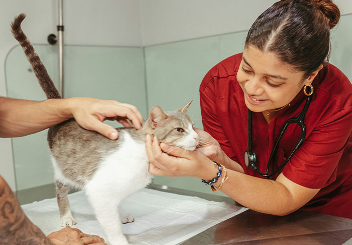 85 Professionals Share What The General Public Doesn’t Know About Their Jobs