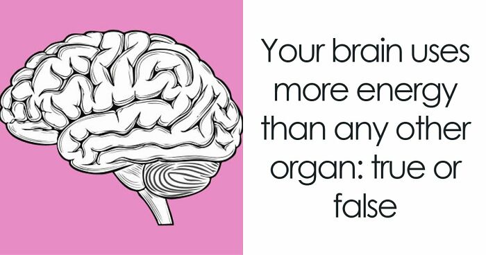 “Are You Trivia Night Ready?”: Find Out With These 35 Pub-Style Quiz Questions