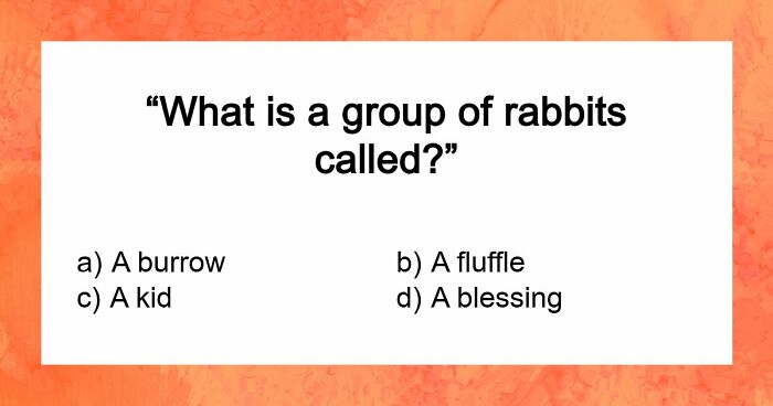 “Are You Trivia Night Ready?”: Find Out With These 35 Pub-Style Quiz Questions