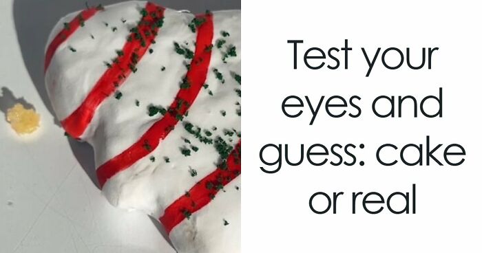 Cakes That Look Like Real Objects: Test Your Vision With 35 Images