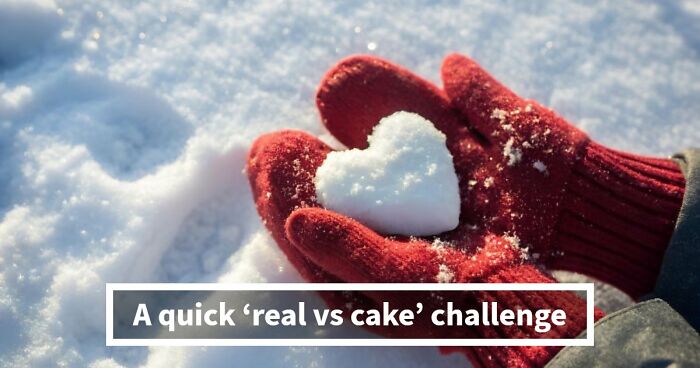 Cakes That Look Like Real Objects: Test Your Vision With 35 Images