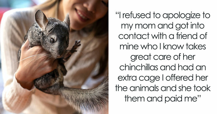 Teen Tries To Give Gifted Chinchillas A Proper Life, Mom Mad She Won’t Settle For The Bare Minimum
