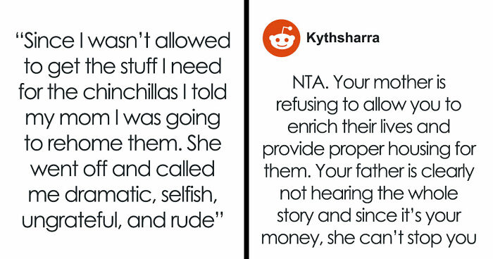 Teen Tries To Give Gifted Chinchillas A Proper Life, Mom Mad She Won’t Settle For The Bare Minimum