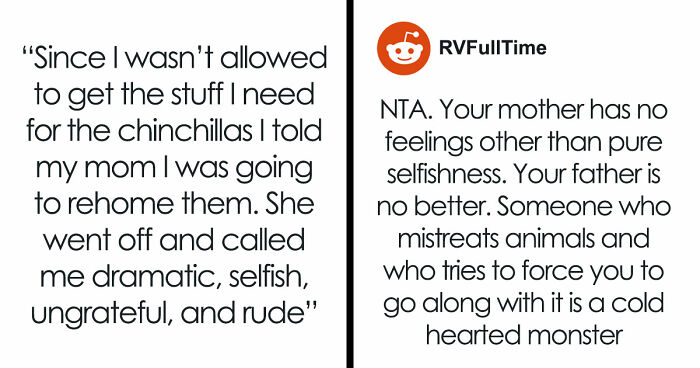 Teen Tries To Give Gifted Chinchillas A Proper Life, Mom Mad She Won’t Settle For The Bare Minimum