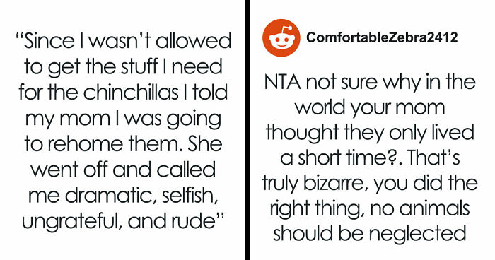 Mom Buys Chinchillas As B-Day Surprise, Teen Tries To Give Them Better Life, Gets Slammed For It