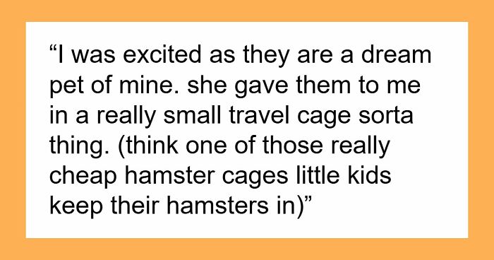 Teen Tries To Give Gifted Chinchillas A Proper Life, Mom Mad She Won’t Settle For The Bare Minimum
