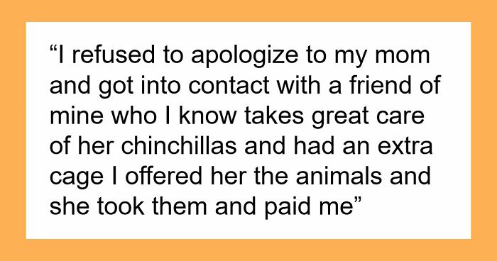 Teen Tries To Give Gifted Chinchillas A Proper Life, Mom Mad She Won’t Settle For The Bare Minimum