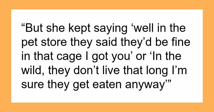Teen Tries To Give Gifted Chinchillas A Proper Life, Mom Mad She Won’t Settle For The Bare Minimum