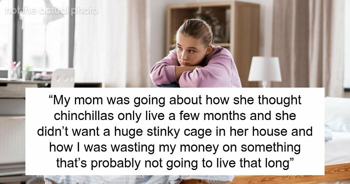 Mom Gifts Daughter Pets She Can’t Properly Care For, Freaks Out When Teen Responsibly Rehomes Them