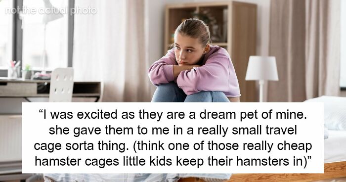 Mom Gifts Daughter Pets She Can’t Properly Care For, Freaks Out When Teen Responsibly Rehomes Them
