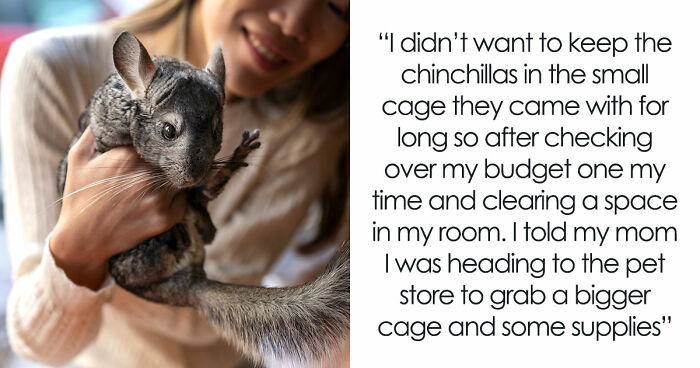 Teen Tries To Give Gifted Chinchillas A Proper Life, Mom Mad She Won’t Settle For The Bare Minimum