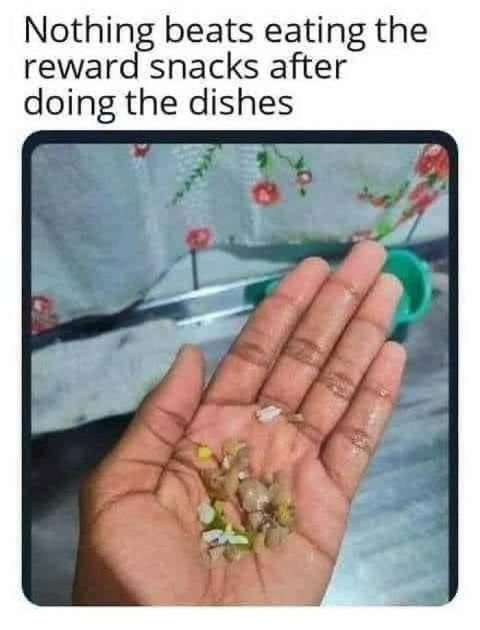 Hand holding small snack bits with text about reward snacks after doing dishes, relatable to restaurant workers and memes.