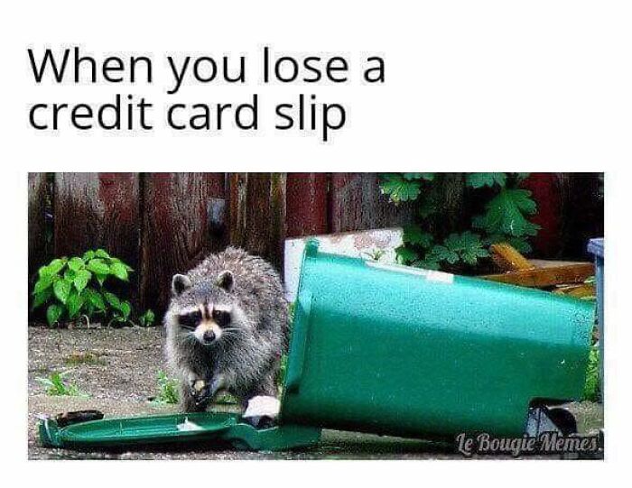 Raccoon near tipped-over trash can illustrating frustration relatable to restaurant workers losing a credit card slip meme.