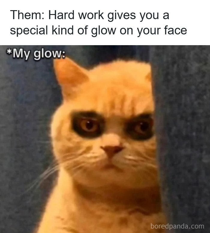 Cat with dark circles around eyes illustrating the glow restaurant workers might relate to from hard work.