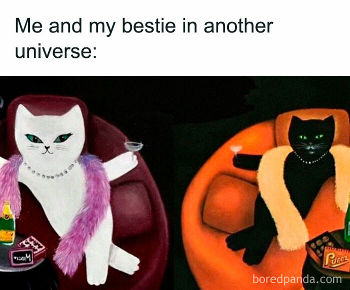 Two cats dressed elegantly with drinks, depicted humorously as besties in another universe random memes.