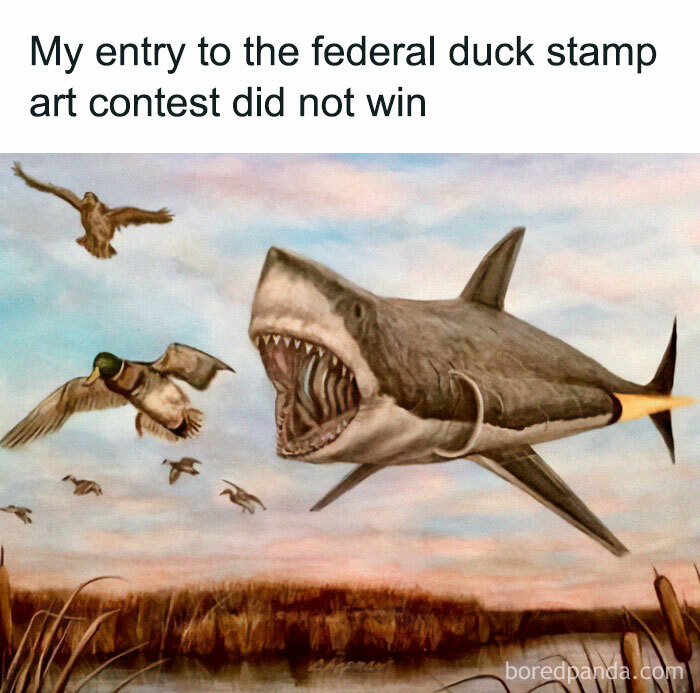 Surreal meme showing a shark with a rocket tail chasing ducks, highlighting humor from random memes collection.