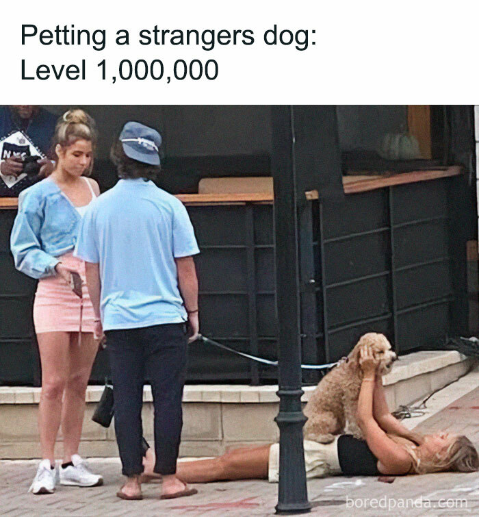 Woman lying on the ground petting a dog while two people stand nearby in a funny random memes street scene.
