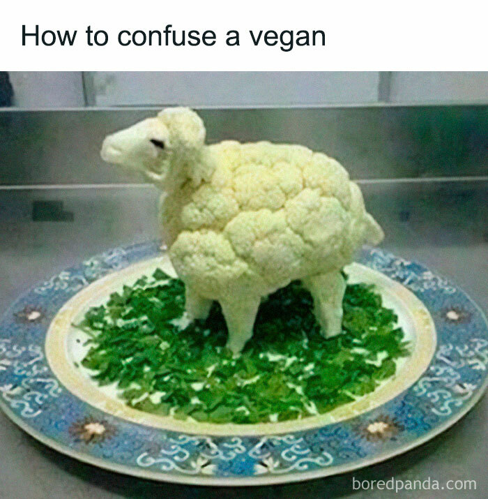 Cauliflower shaped like a sheep on a decorative plate surrounded by greens, showcasing random memes humor and creativity.