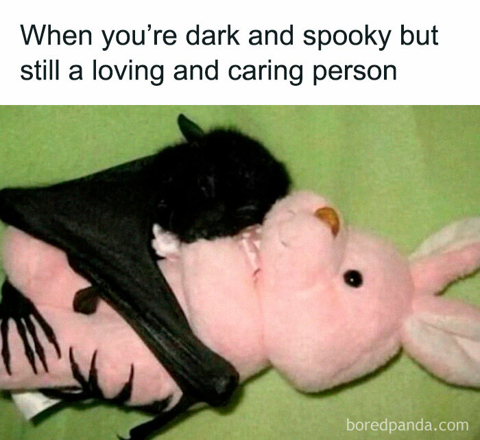 A dark spooky bat hugging a pink plush bunny, showing a contrast of dark and caring in a funny meme.