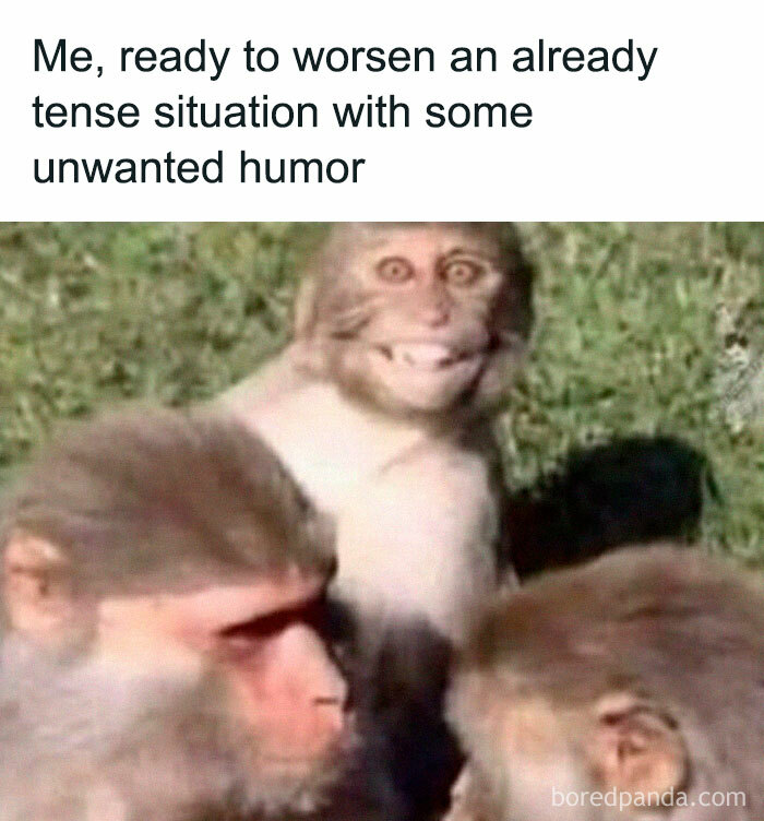 Monkey with a mischievous grin ready to add unwanted humor to a tense situation, highlighting the random memes humor theme.