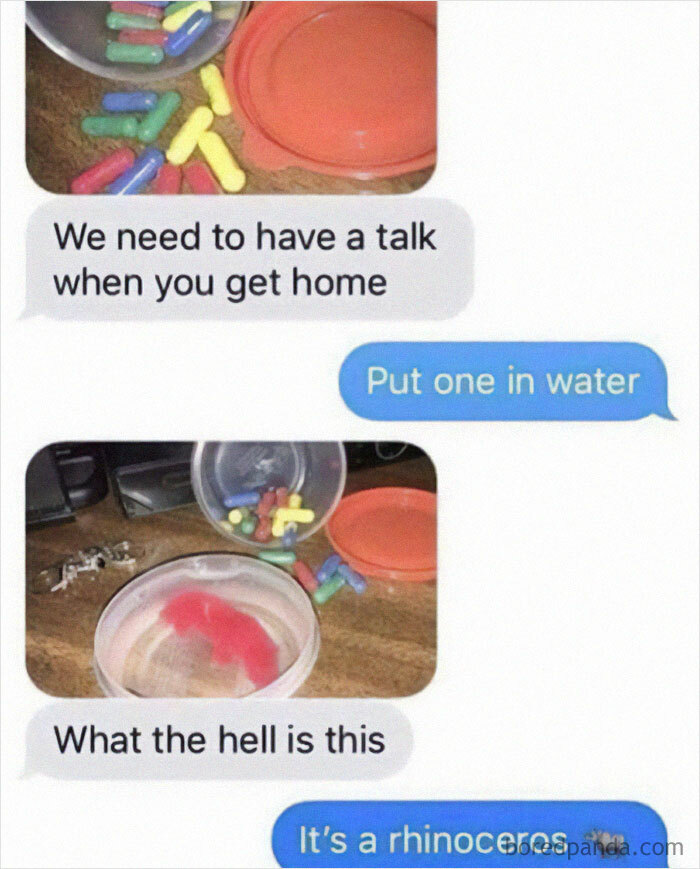 Text message exchange about colorful capsules turning into a red creature in water, showcasing random memes humor.