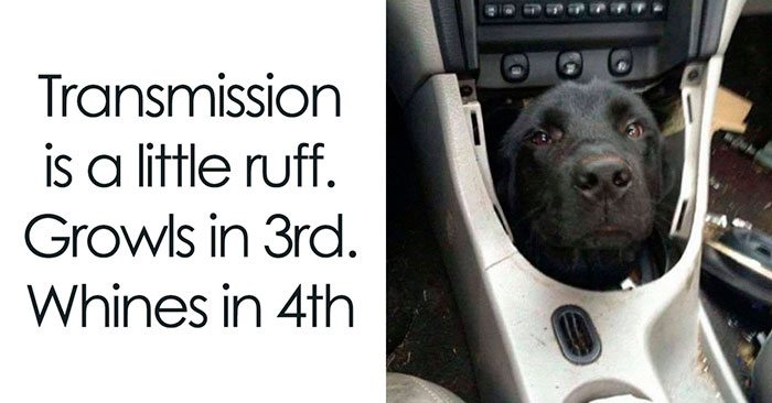 92 Random Memes That Made Scrolling Way More Enjoyable