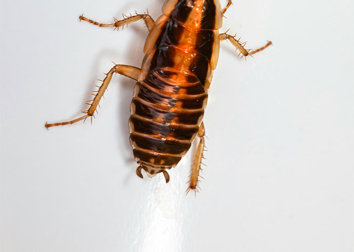 “Depression Levels Correlate With Intelligence”: 48 Facts People Wish They Didn’t Know