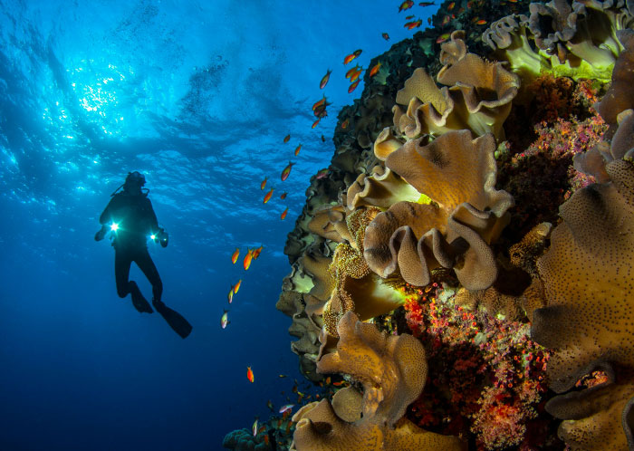 “Depression Levels Correlate With Intelligence”: 48 Facts People Wish They Didn’t Know