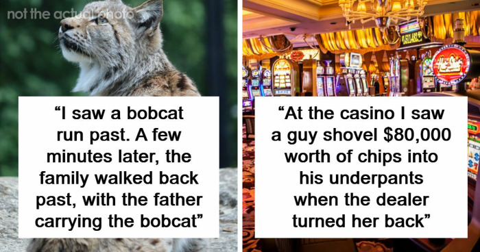 “I’ll Never Forget That One”: 58 Times Security Guards Saw Such Weird Camera Footage, They Had To Replay It