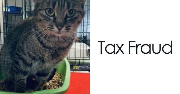 85 Times Pets Got Such Great Names, The People Who Came Up With Them Deserved Awards