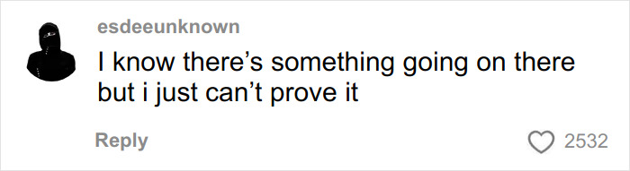Social comment: I know there's something going on there but I just can't prove it about Disney World