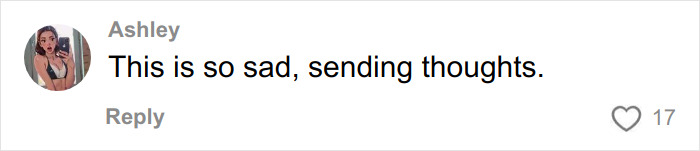 Social media comment by user Ashley reading This is so sad, sending thoughts on a post about Disney World