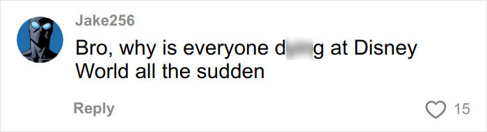 Social comment screenshot saying Bro, why is everyone dying at Disney World all of a sudden, username Jake256, 15 likes