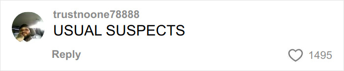 Comment by user trustnoone78888 saying usual suspects with profile picture and 1495 likes. Comment by user trustnoone78888 saying usual suspects with profile picture and 1495 likes.