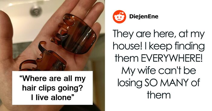 “I’ve Accepted My Fate”: 84 Mysteries People Would Love To Solve If It Wasn’t So Much Work