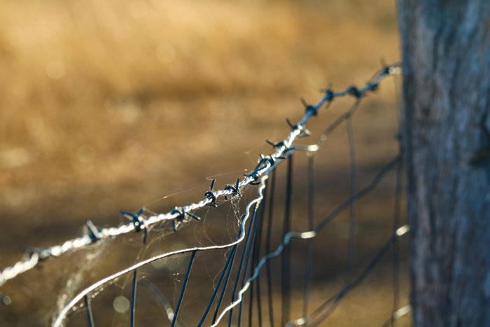 Close-up of a barbed wire fence with blurred background symbolizing privacy protection and boundary issues. Close-up of a barbed wire fence with blurred background symbolizing privacy protection and boundary issues.