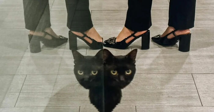 35 Street Photos That Prove Timing Is Everything, As Shared On This Instagram Page