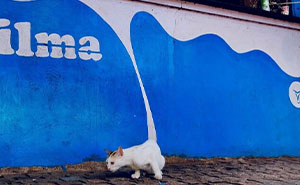 35 New And Captivating Street Photos That Showcase Life’s Unexpected Moments