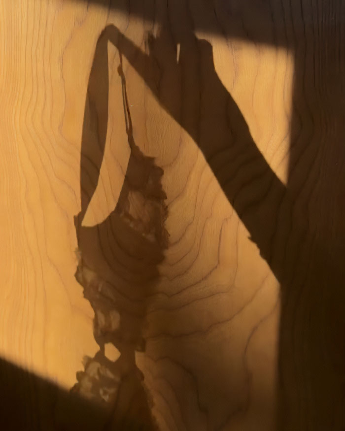 Shadow of a hand holding delicate lingerie, highlighting Sydney Sweeney sparks wild reactions with bold LA outfit choice.