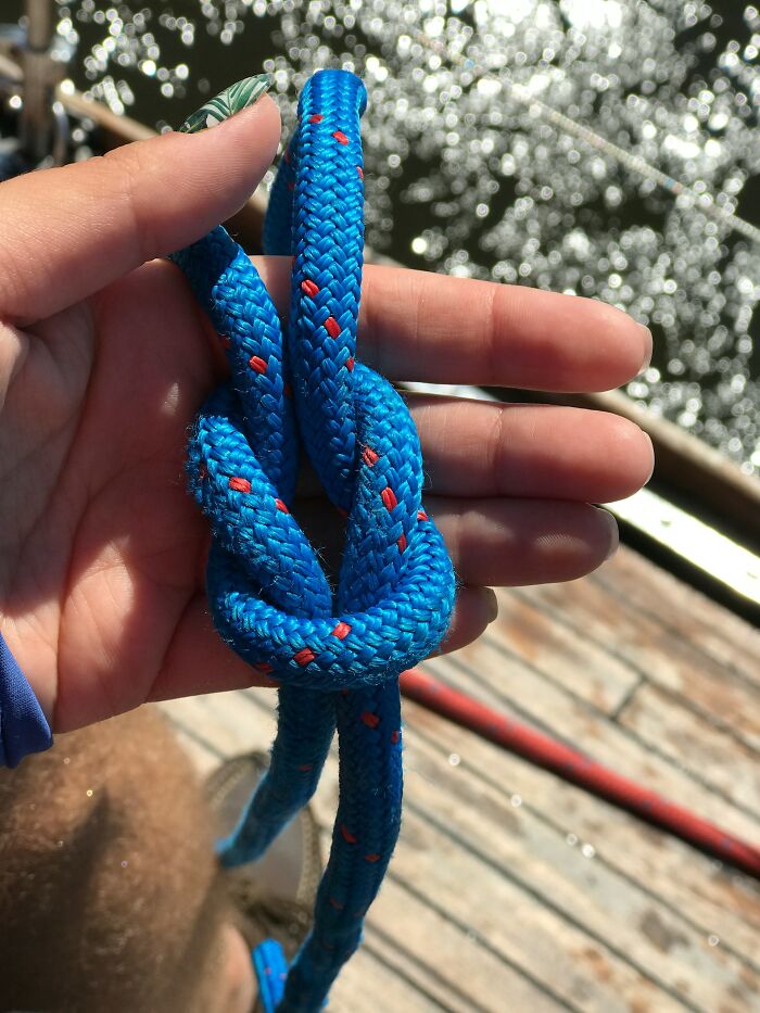 Close-up of a hand holding a knotted blue rope above a wooden dock with water sparkling in the background, representing accidental panic.