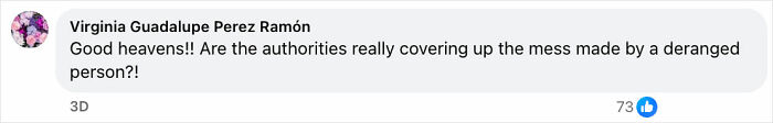 Facebook comment by Virginia Guadalupe Perez Ram&oacute;n expressing shock about authorities covering up a deranged person&rsquo;s actions.