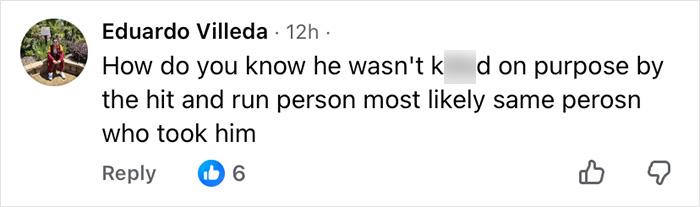 Closure - screenshot of social media comment questioning if hit-and-run was deliberate and linked to abductor, 6 likes Closure - screenshot of social media comment questioning if hit-and-run was deliberate and linked to abductor, 6 likes