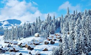 15 Nations Setting New Global Standard For Paid Leave