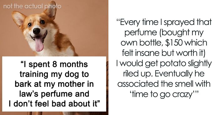 “Best $150 I Ever Spent”: Guy Spends 8 Months Training His Corgi Just To Annoy His Mother-In-Law